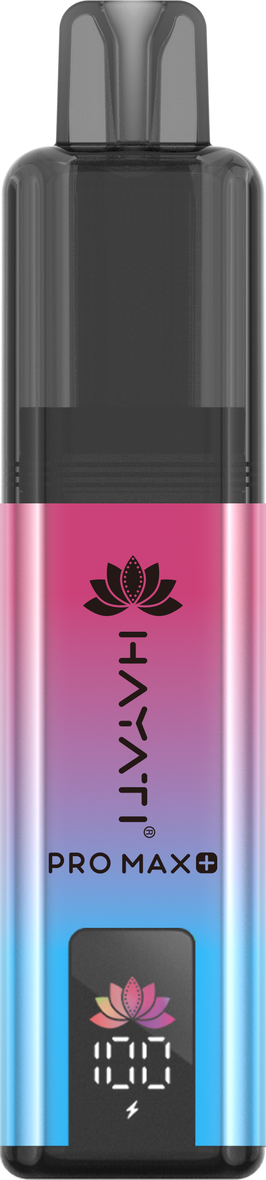 Hayati Pro Max+ 6000 Blueberry Pomegranate